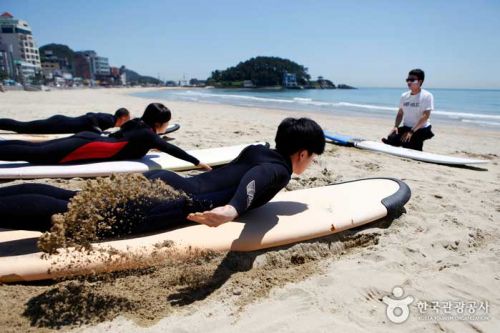 모래사장에서 패들링을 연습 중인 1일 차 서퍼들