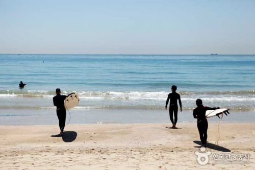 서핑을 즐기기 위해 바다로 향하는 서퍼들