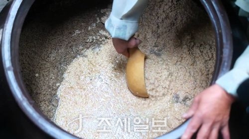 막걸리