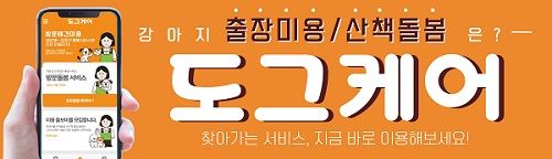 피티씨랩 '도그케어', 펫시팅 토탈케어 서비스 선봬 - 뉴스 썸네일 이미지