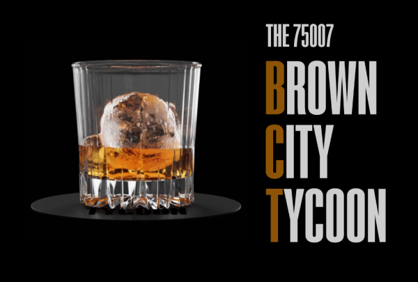 "'Brown City Tycoon' 프로젝트 론칭...프리세일 매진" - 뉴스 썸네일 이미지
