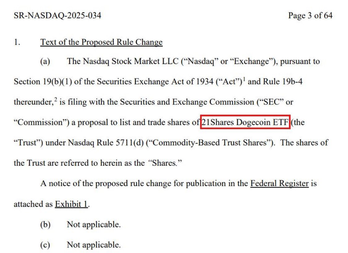도지코인, 밈코인 최초 월가 진입 초읽기 : 네이트 뉴스