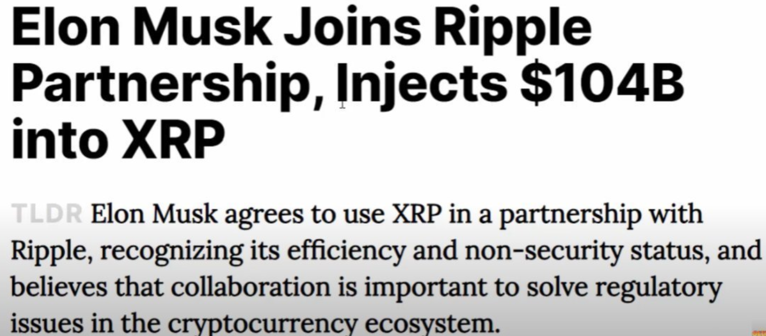 리플, 머스크 1,040억 달러 투자?…팩트체크 : 네이트 뉴스