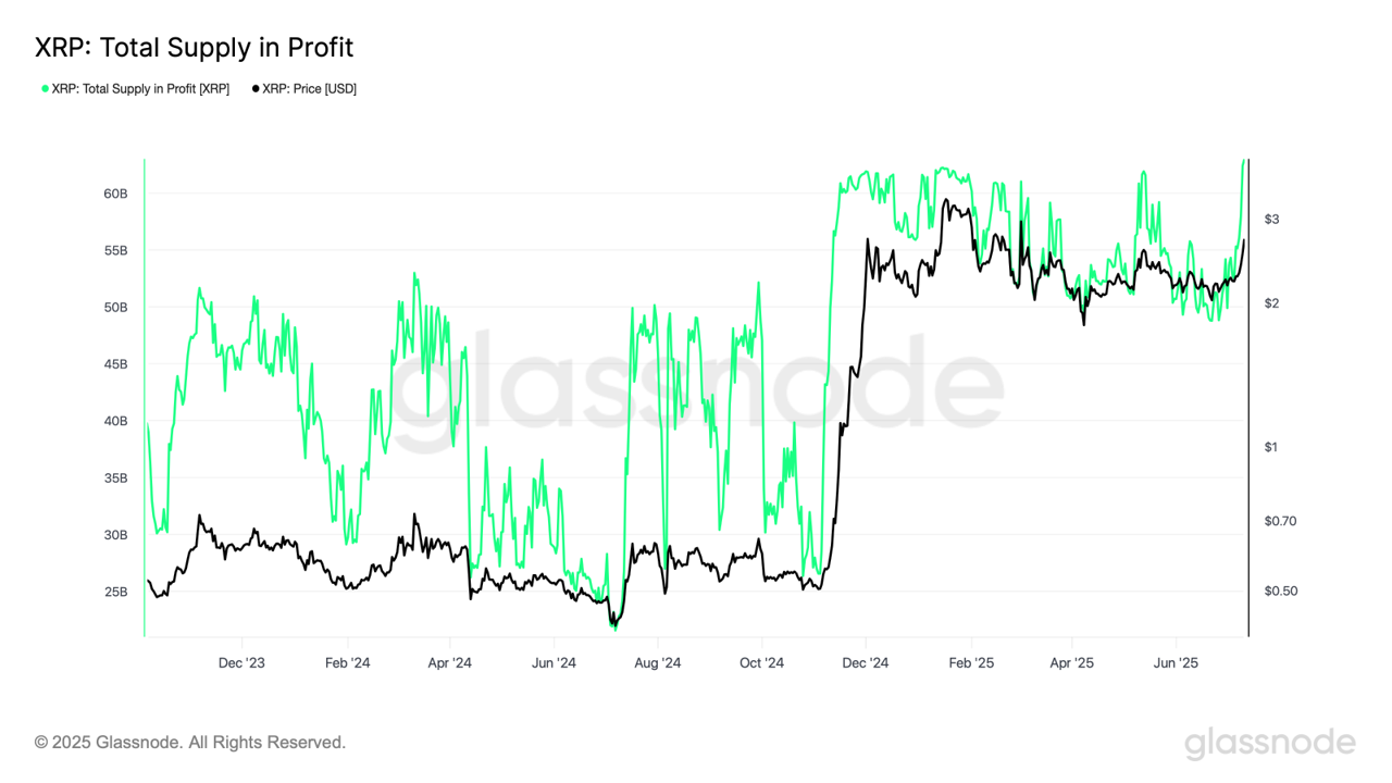 도지코인, 0.2달러 아래로 후퇴…수익 물량 급증에 차익 매물 경 : 네이트 뉴스