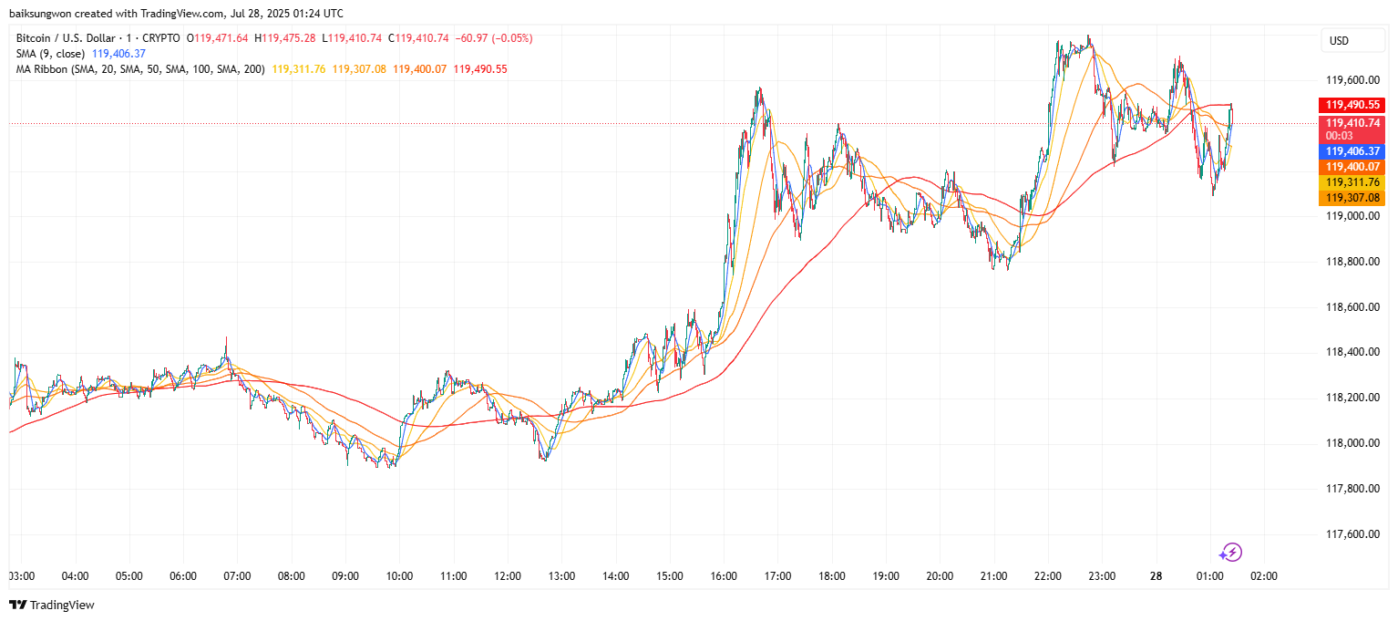비트코인, ETF·기관자금 유입으로 4년 주기 종료 : 네이트 뉴스