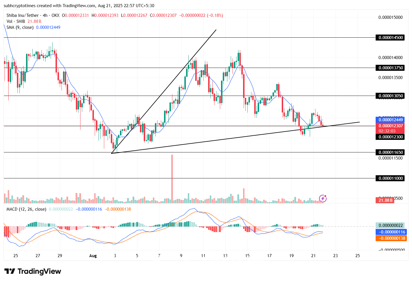 시바이누, 거래량 급증하며 추세 전환 조짐 : 네이트 뉴스
