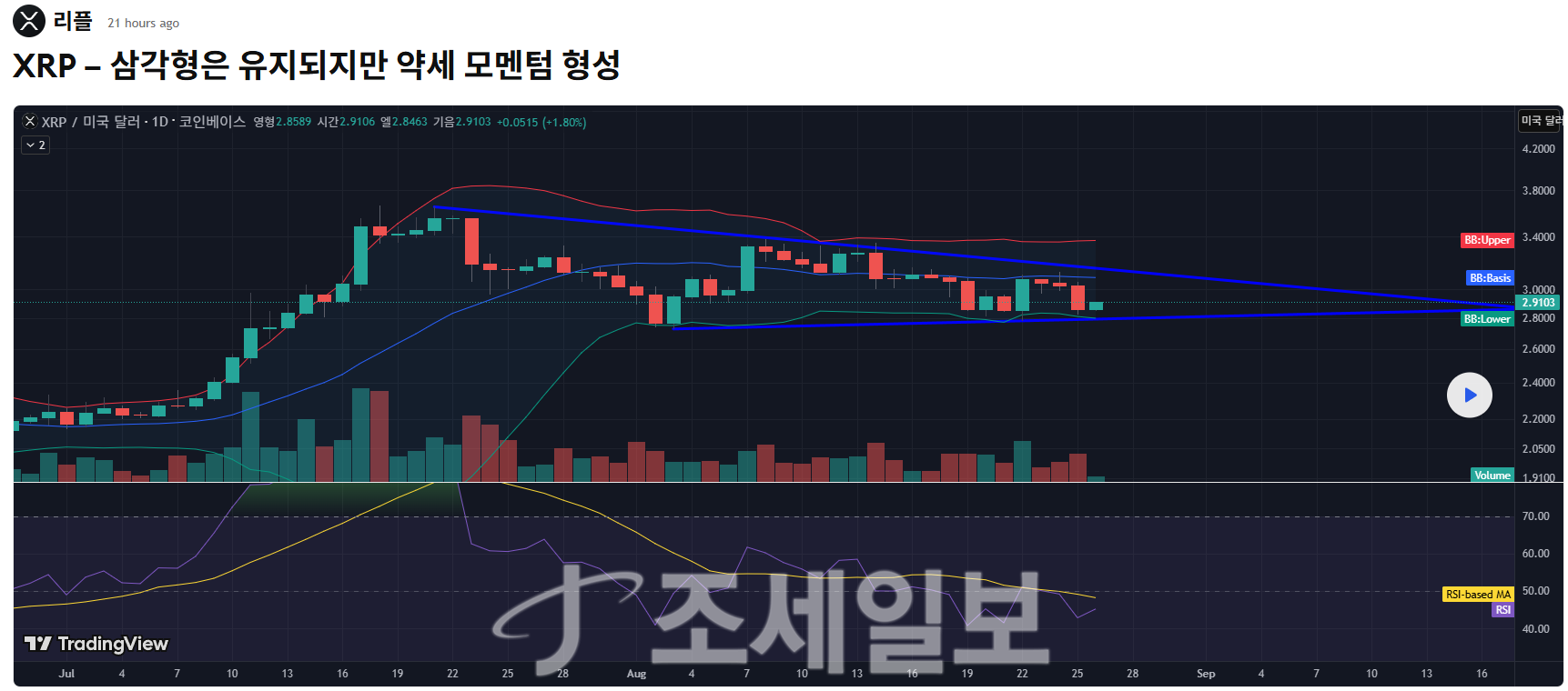 리플, 고래 매집 증가하며 삼각 패턴 정점 임박 : 네이트 뉴스