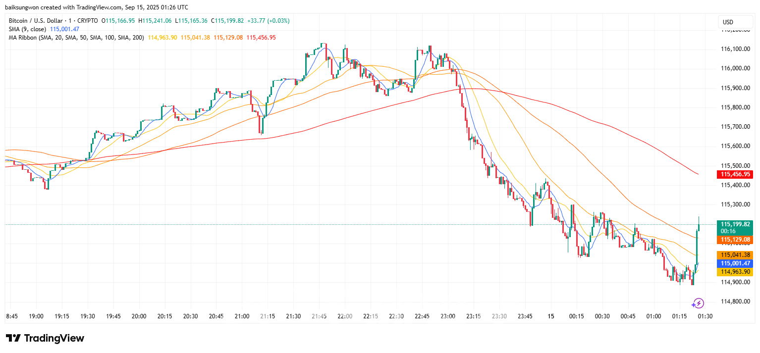 비트코인·이더리움, ETF 유입과 금리 인하 기대에 사상 최고가 도전 : 네이트 뉴스