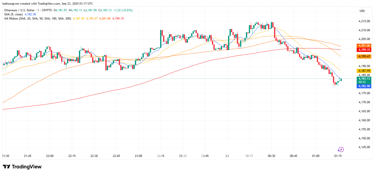 이더리움, 기업 대규모 매수에도 청산에 밀려 하락 : 네이트 뉴스