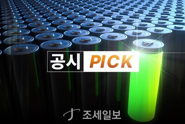 엘앤에프, 음극재 사업 진출 검토 중단 [공시pick]