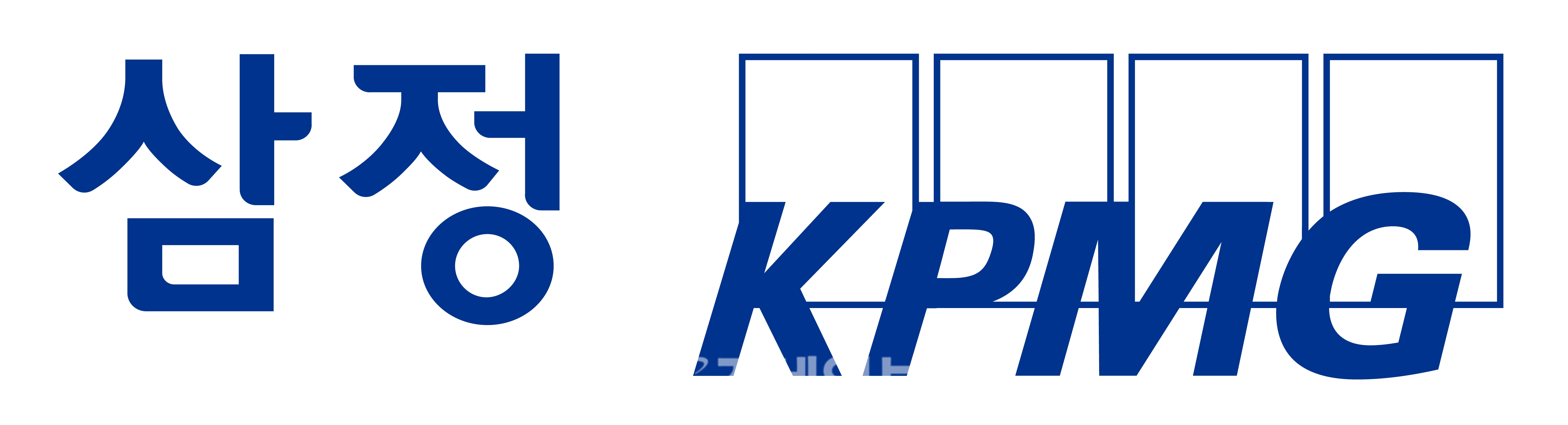 삼정KPMG 이미지 검색결과