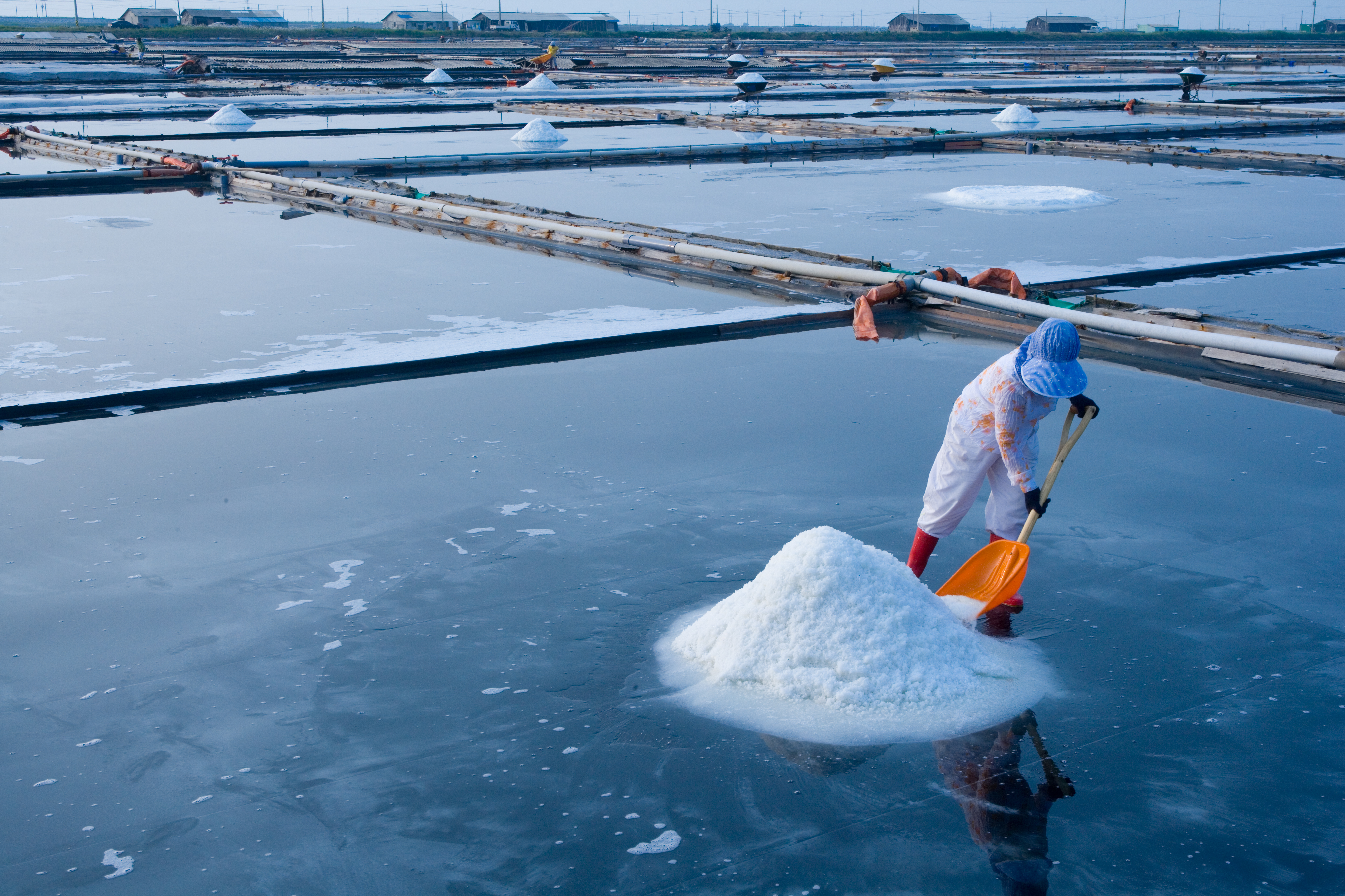 천일염 품귀 현상 발생하면서 소금 관련주 급등... 보라티알·신송홀딩스등 강세-조세일보모바일