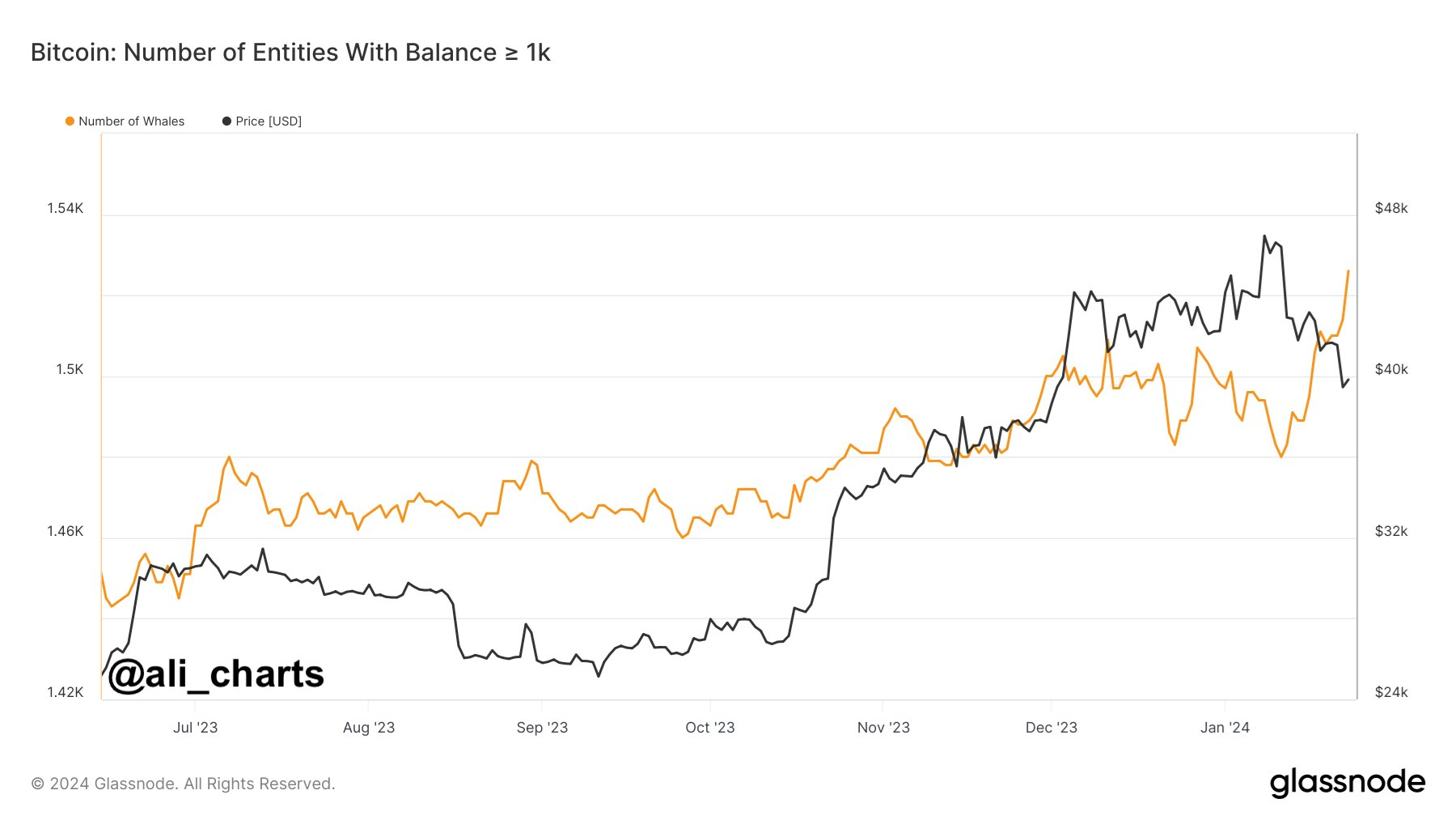 비트코인, 하락장에 고래 수와 보유량 크게 늘어-조세일보모바일