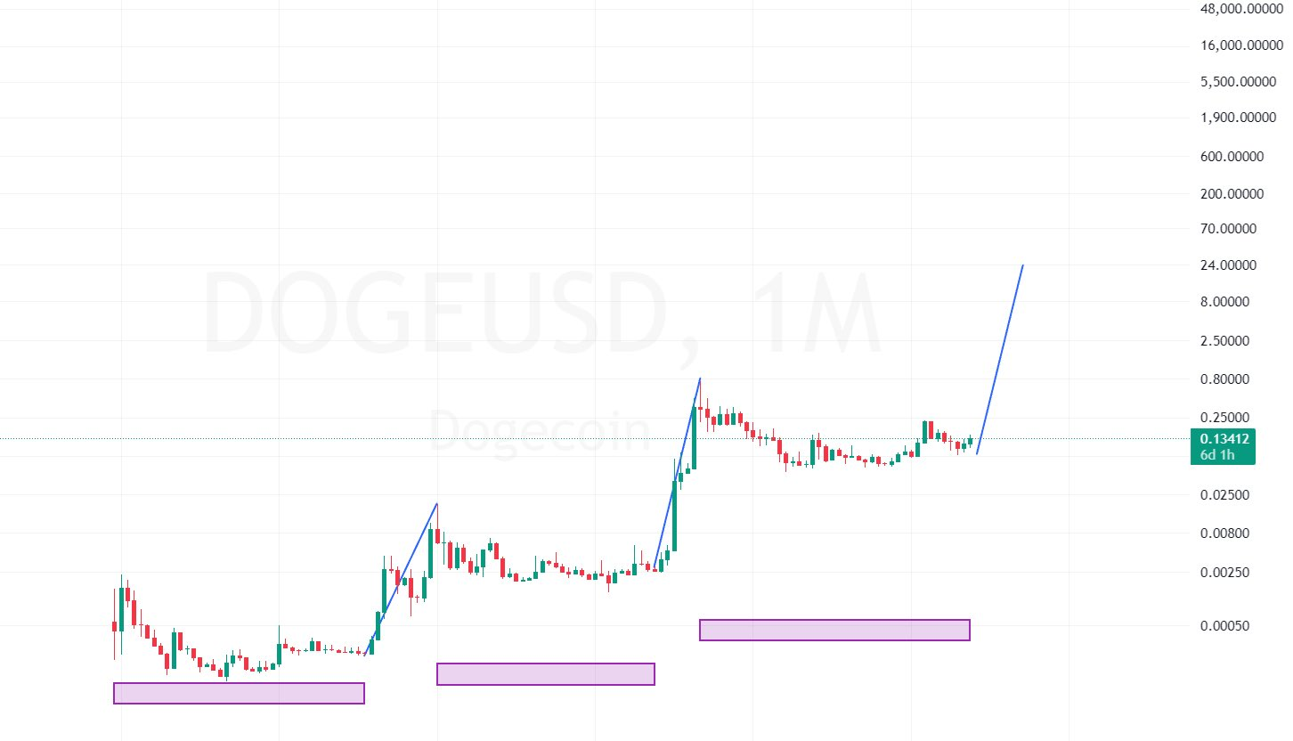 도지코인, 단기간 내에 169배 상승해 24달러 도달-조세일보모바일
