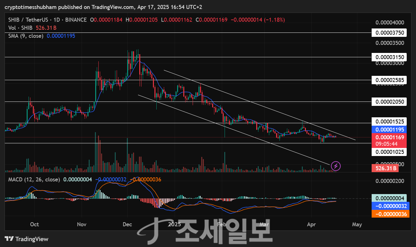 시바이누, 3개월간 이이 온 하락 추세에서 탈출 징후-조세일보모바일