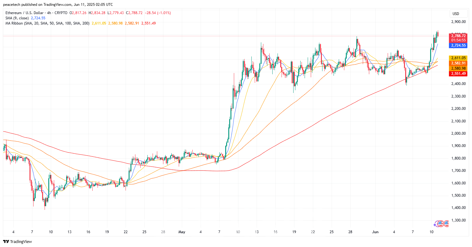 이더리움, 하루 만에 10% 급등 “시작에 불과하다”-조세일보모바일