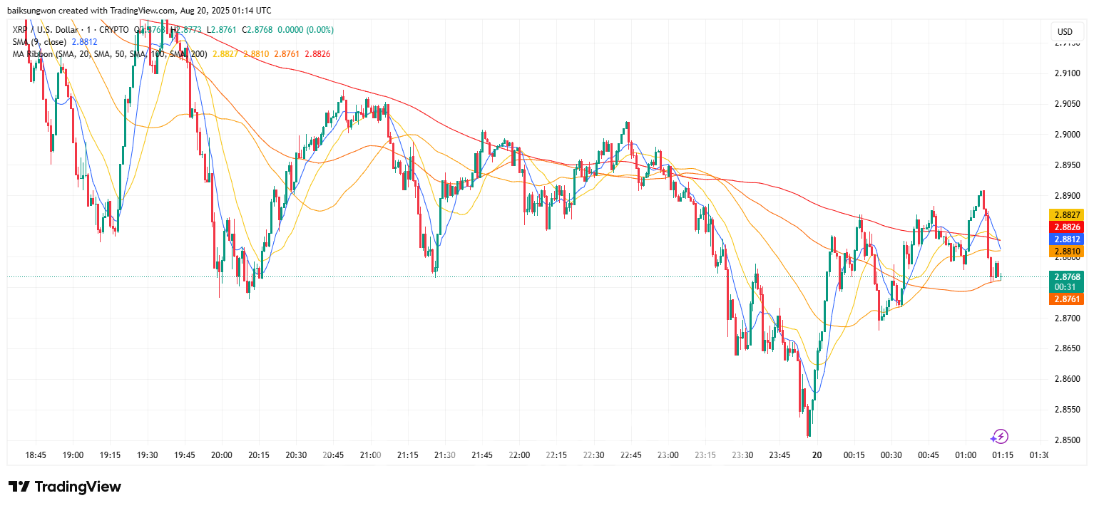 리플, ETF 심사 지연과 규제 불확실성에 매도세 확대-조세일보모바일